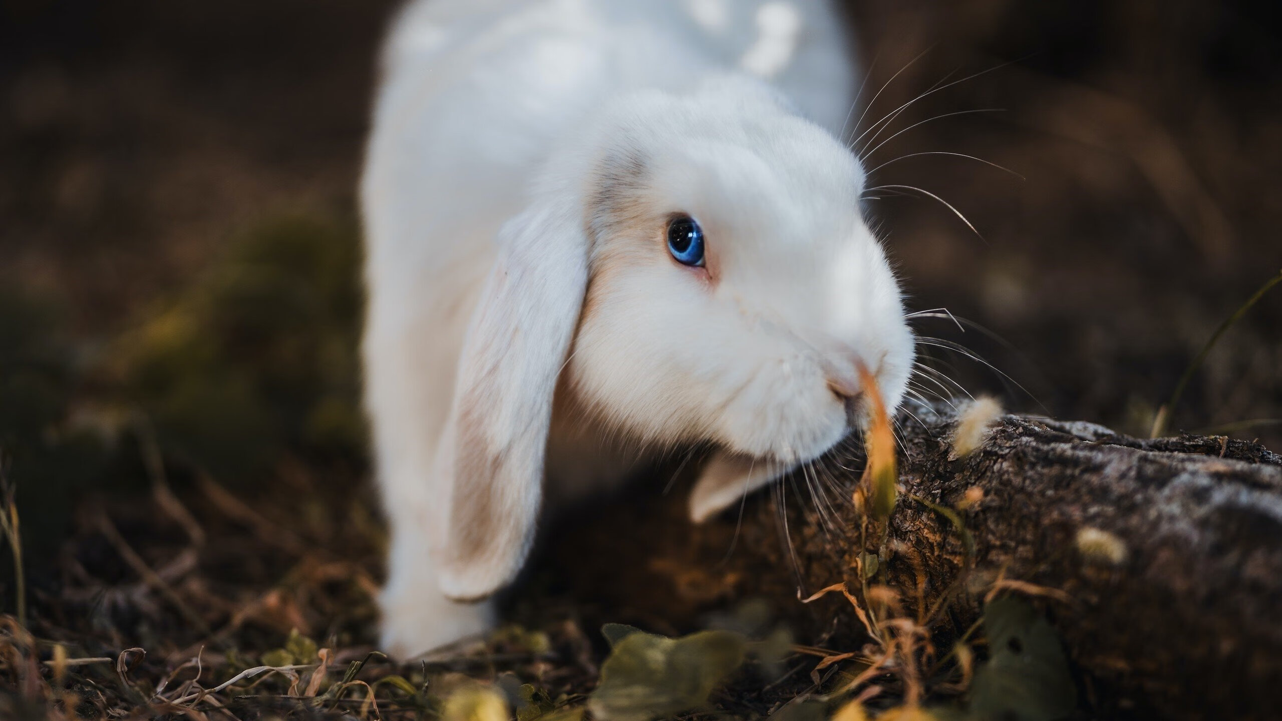 爱游戏体育下载-主办方公布环保采购清单，赛事供应链更绿色，环保采购平台