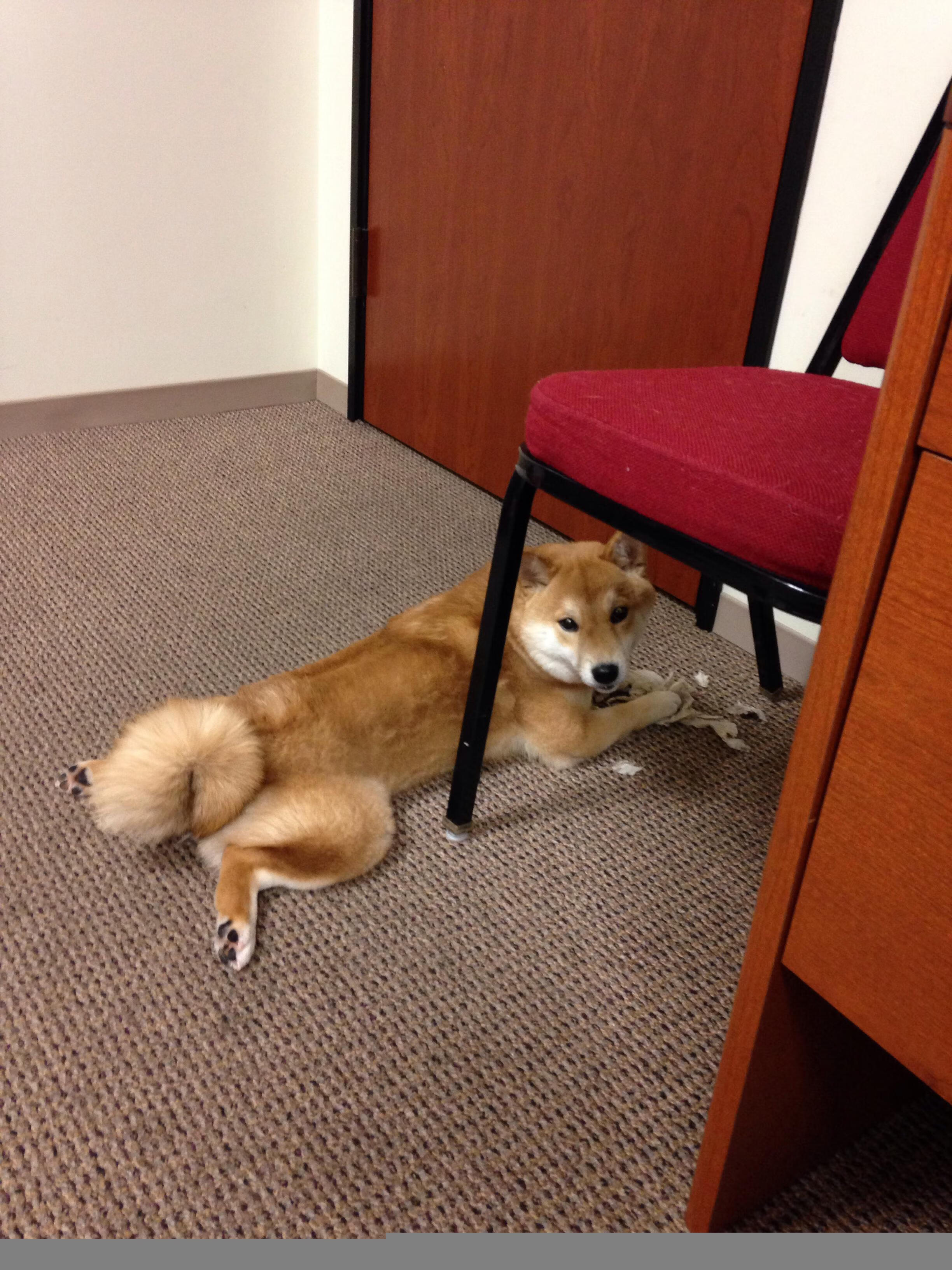 爱游戏官网-意甲球队在欧战中的表现分析，意甲欧战席位