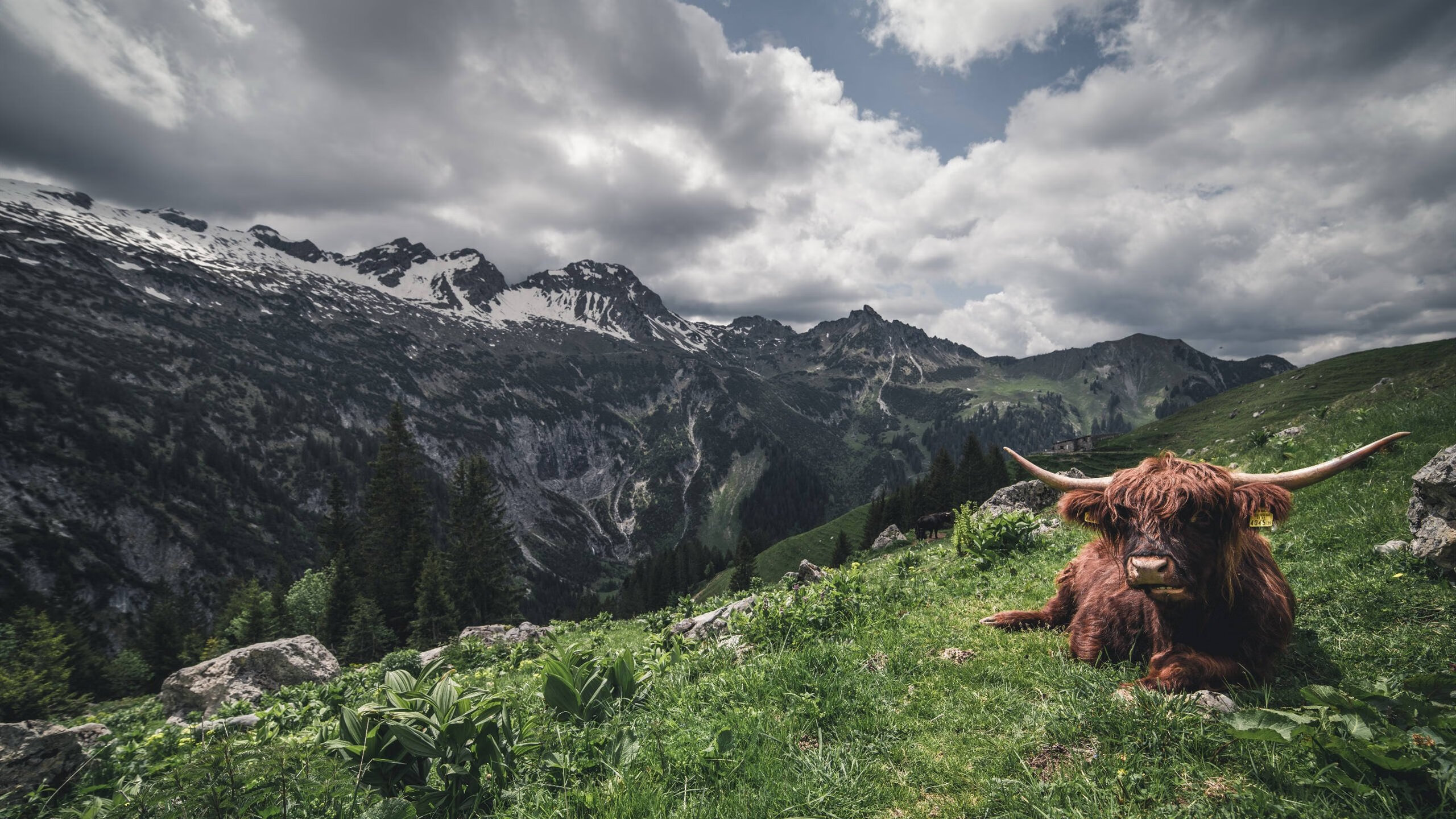 西班牙青年队崭露头角，未来可期