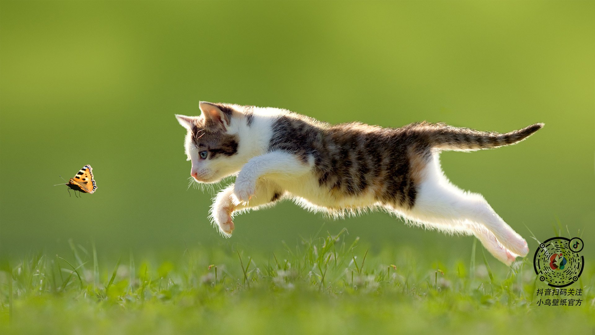 2年1.22亿!火箭续约杜兰特进行中,火箭续约巴西杜兰特