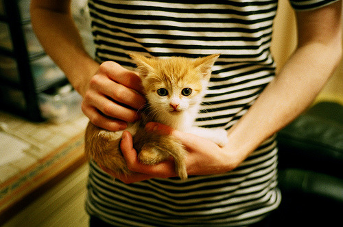 爱游戏官网app-KD续约在即 火箭豪掷1.22亿美元，nba火箭签约